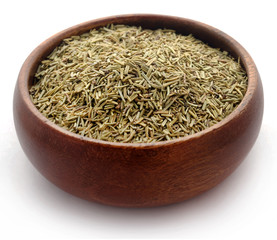 Fresh organic rosemary