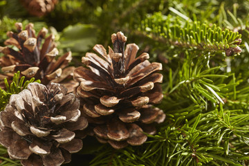 closeup of a Christmas Wreath with pine cones and hemlock sprigs