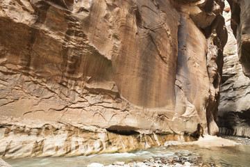 Narrows - Zion National Park