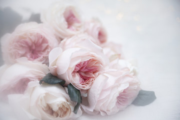Fototapeta na wymiar Roses on romantic background. Wedding invitation. Valentines day card. 