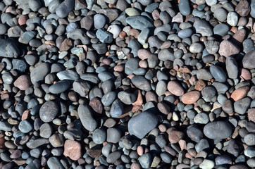 Balkhash lake, central Kazakhstan.  

