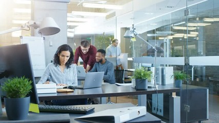 Time-Lapse of the Busy International Office where Diverse Team of Young Businesswomen and Businessmen Work on Laptops, Have Meetings. Shot on RED EPIC-W 8K Helium Cinema Camera. - Powered by Adobe
