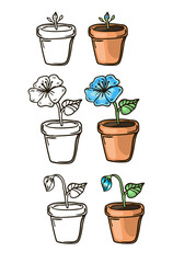 flower in a pot colorful and line handrawn sketches