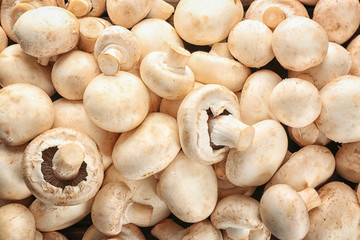 Fresh champignon mushrooms, close up