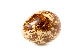Quail egg isolated