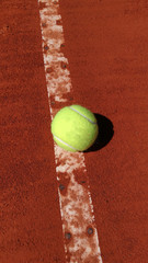 Tenis Ball