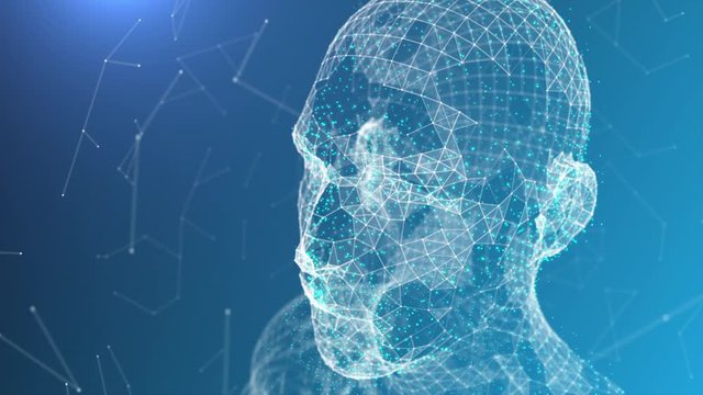 Digital human plexus face animation