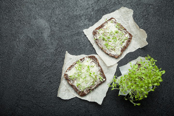 Vegetarian breakfast of micro greens salad on black bread, space for text.
