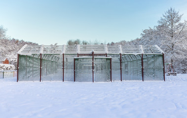 Outdoor Basketball Court in Snow