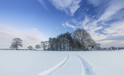 British Countryside Fields in Snow at Winter