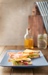 Plate with delicious sandwiches on table