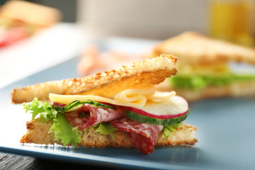 Delicious sandwich on plate, closeup