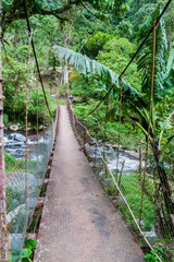 Fototapeta premium Suspension bridge over Caldera river near Boquete (Panama), on Lost Waterfalls hiking trail.