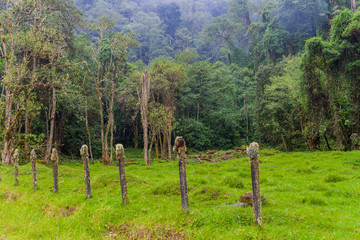 Fence and a pasture near Bajo Grande village near Baru volcano, Panama