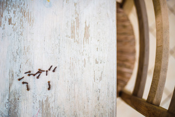 Cloves  on a rustic white wooden table with a wooden chair. Copy space for text.