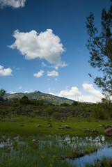 Summer landscape with mountains, cloudy sky, green grass and trees in Guatemala.