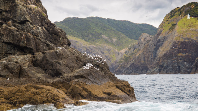 Cloud day in Cape Brett, Bay of Islands, New Zealand 4