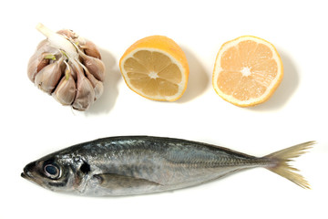 Raw short mackerel fish