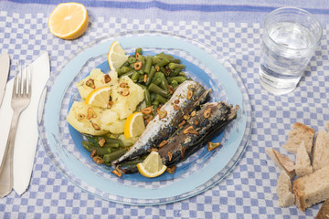 Portuguese mackerel fish meal