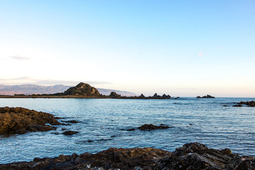 Red Rocks Wellington At Low Tide 