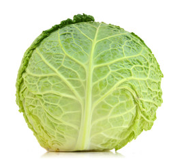 Fototapeta premium Savoy Cabbage head Isolated on White Background
