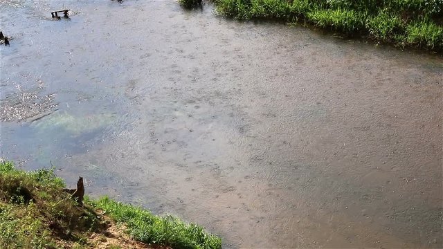 Rain over the river