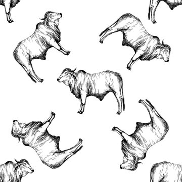 Seamless pattern of hand drawn sketch style zebu cattle. Vector illustration isolated on white background.