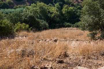 Visiting Banias Nature Reserve in Northern Israel