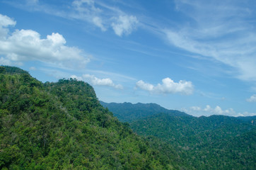 lansscape forest in thailand