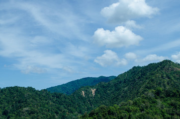lansscape forest in thailand