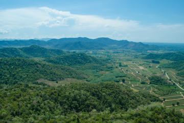 lansscape forest in thailand