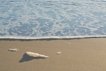 Seafoam detail on waters edge
