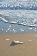 Seafoam detail on waters edge