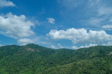 lansscape forest in thailand