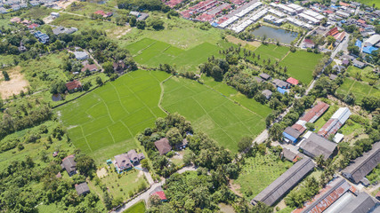 Aerial top view photo from flying drone of the Buddhist temple and fields in  the countryside of Chiang Mai, Northern Thailand