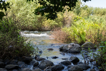Visiting Tel Dan Nature Reserve in Northern Israel