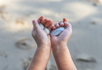 Close up child's hand holding seashell on a beach. or Close up Asian child's hands holdinf sea shell. Nature sun light. First person's view.