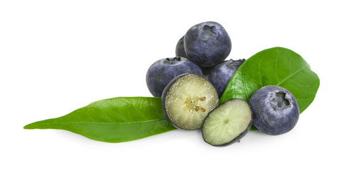 blueberries isolated on white background