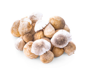 uncooked fresh Straw mushrooms on white background