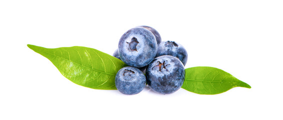 Blueberries isolated on white background