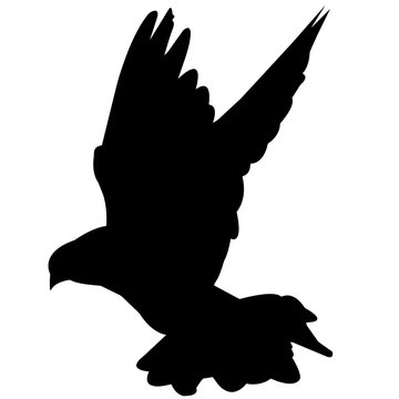 black bird silhouette flying white background clip art preview