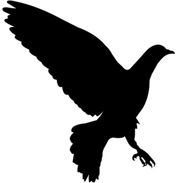 Dove clip art preview