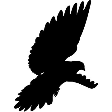 black bird silhouette flying white background clip art preview