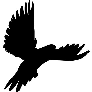 recommend clip art: Dove