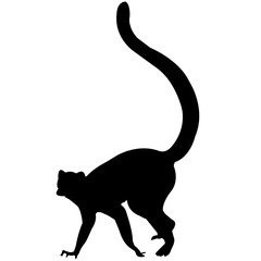 Lemur Silhouette Vector Graphics © Loveleen