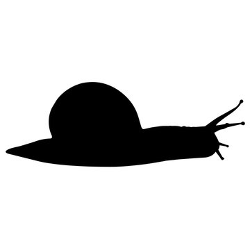 Land Snail Silhouette Vector Graphics