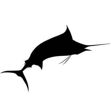 recommend clip art: Marlin Silhouette Vector Graphics