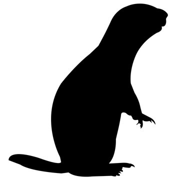 Prairie Dog Silhouette Vector Graphics