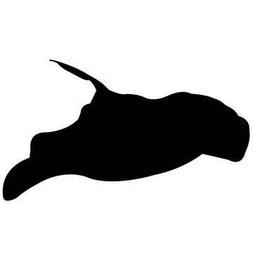 recommend clip art: Ray Silhouette Vector Graphics