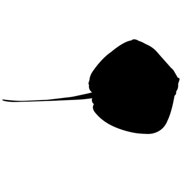 black stingray silhouette on white background clip art preview